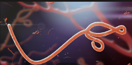 Ebola Response Reflects Progress ,Outbreak Remains a Continental Emeegency African Scientists Speak.